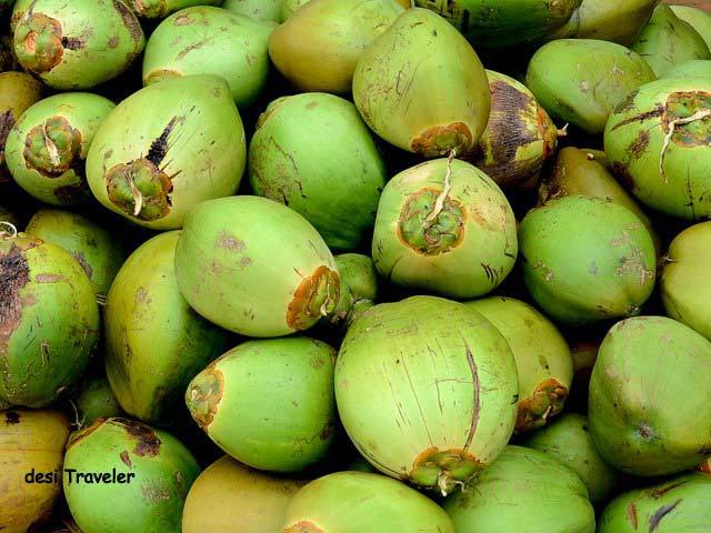 Coconut
